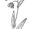 SBBG_LA_00342_0.jpg