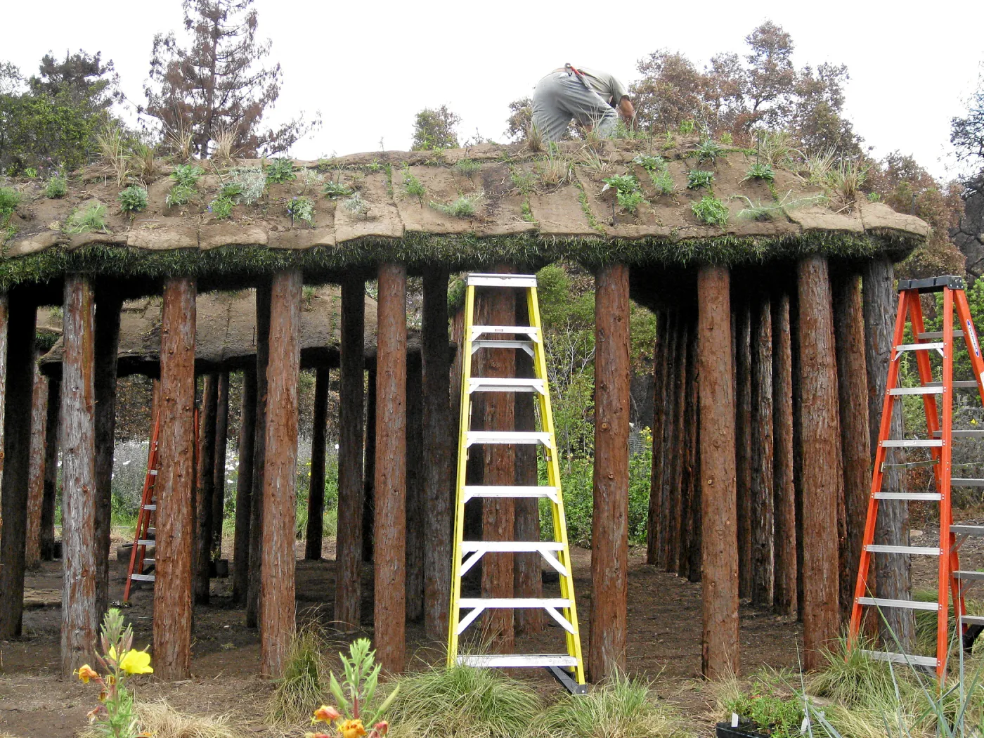 Roof of Herb Parker structure being planted