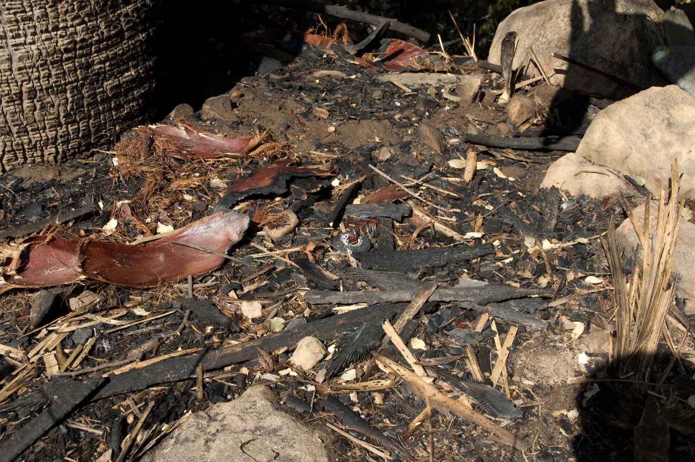 melted sprinkler head in Desert Section, after the Jesusita Fire, burned irrigation