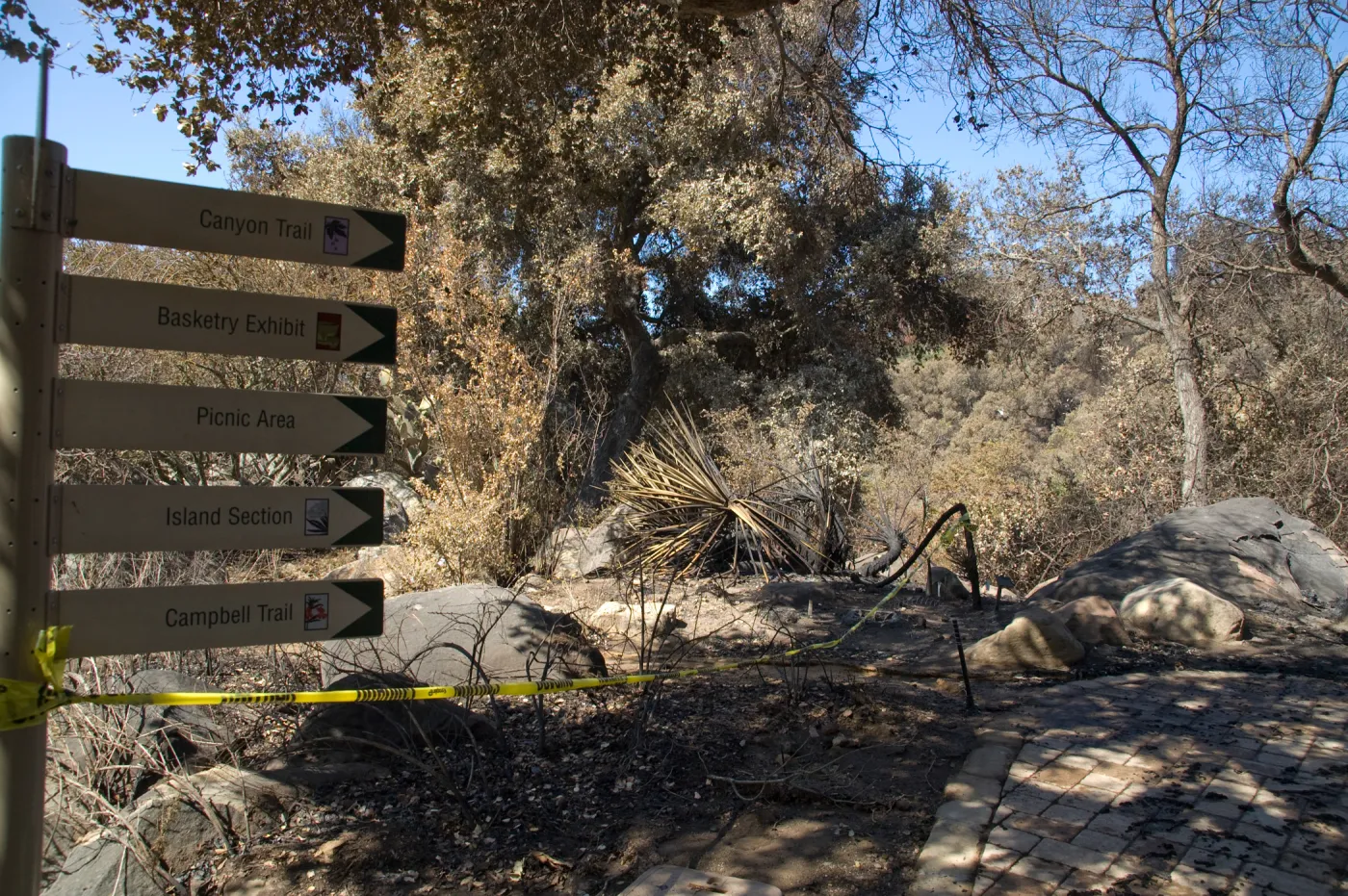 Santa Barbara Botanic Garden after the Jesusita Fire
