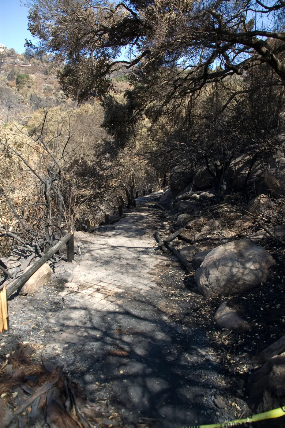 Santa Barbara Botanic Garden after the Jesusita Fire, burned railing on Campbell Trail