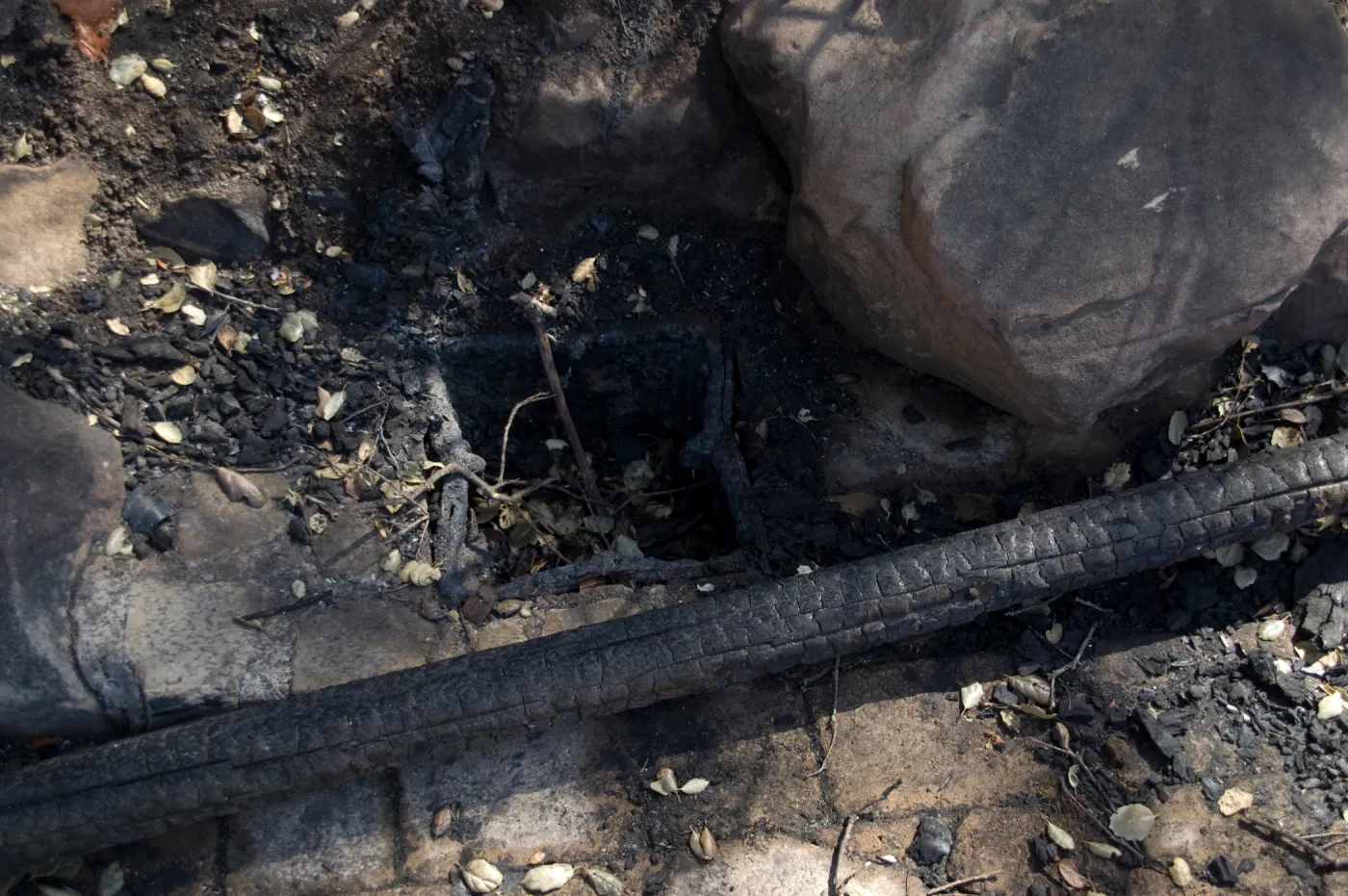 Santa Barbara Botanic Garden after the Jesusita Fire, melted irrigation box, burned railing