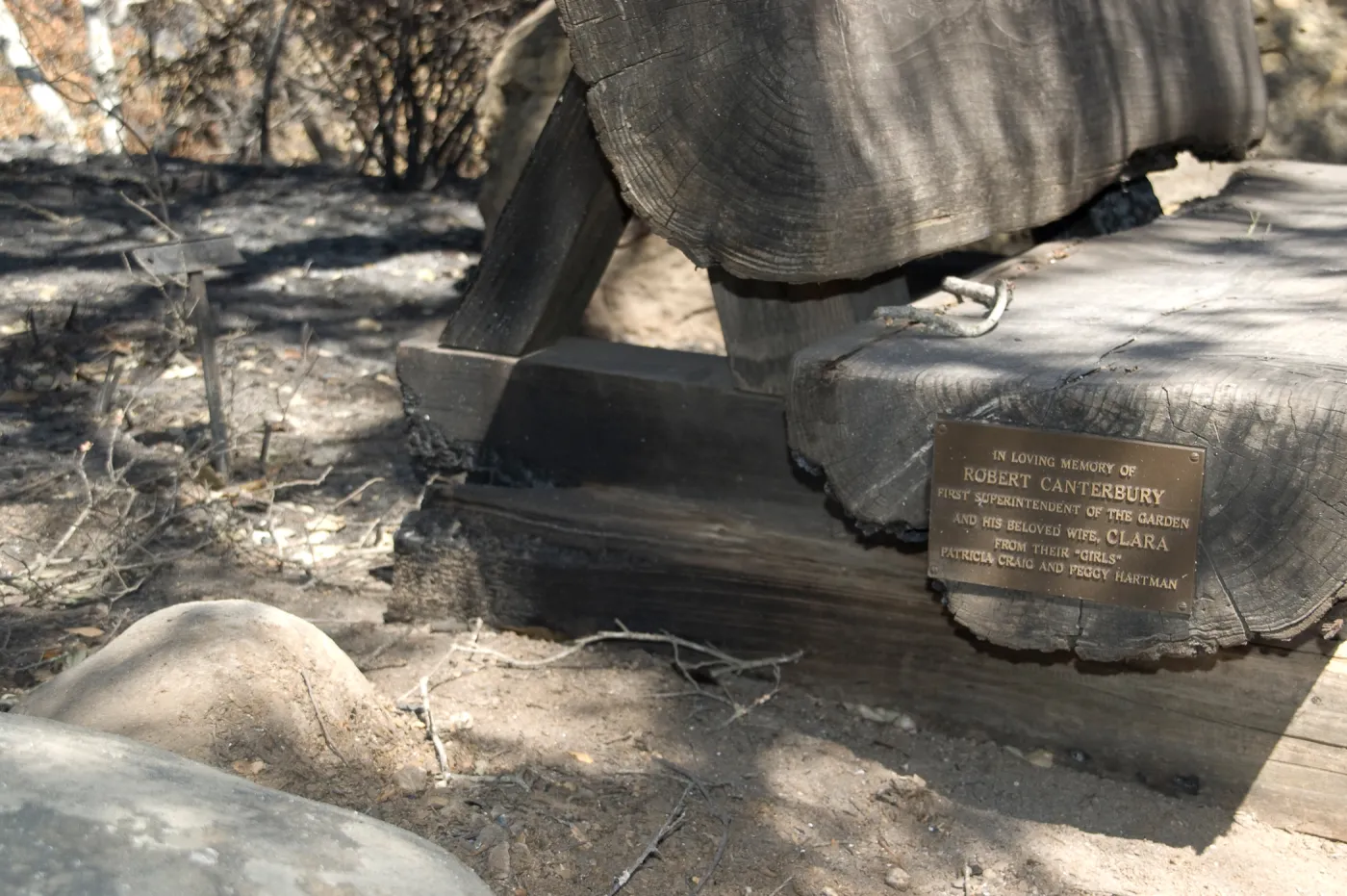 Robert Canterbury Bench, burned wood bench after the Jesusita Fire