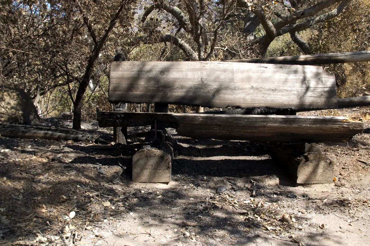 Santa Barbara Botanic Garden after the Jesusita Fire, burned wood bench and railing