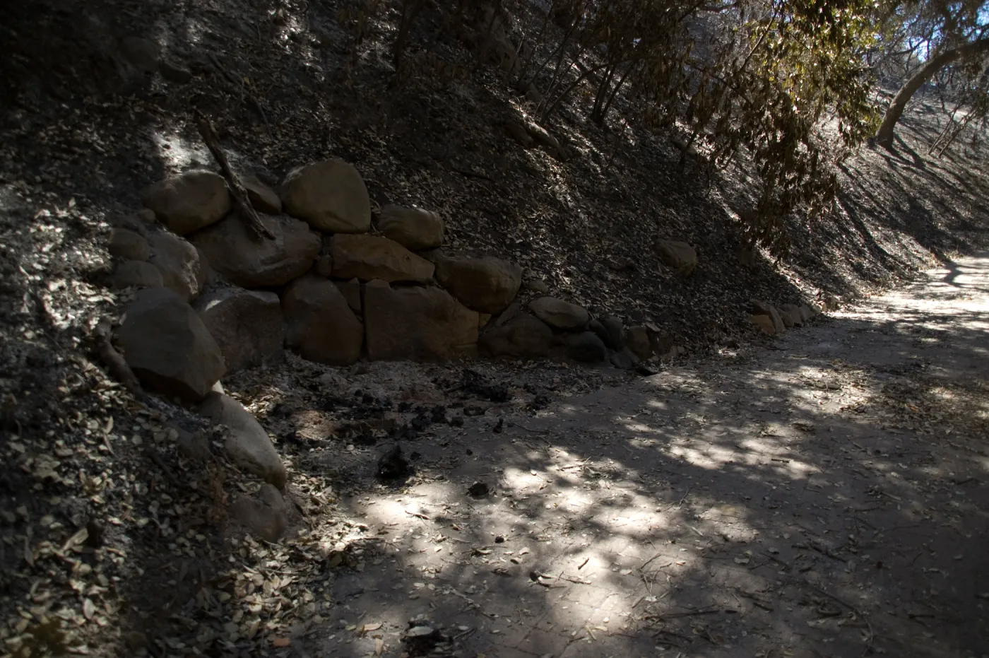 Santa Barbara Botanic Garden after the Jesusita Fire, ashes remaining from burned wood bench
