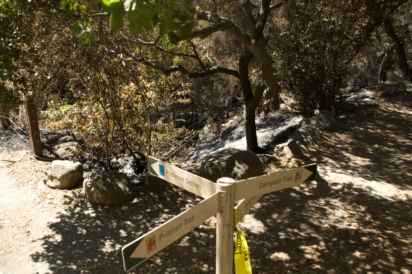 Santa Barbara Botanic Garden after the Jesusita Fire, directional signage