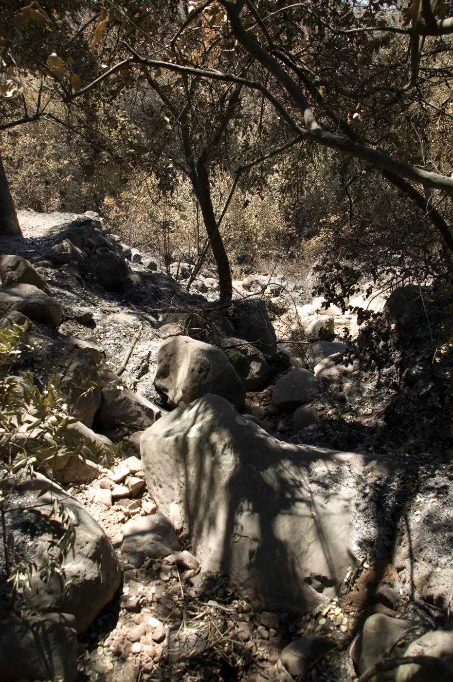Rocky drainage from Pritchett Trail to bottom of canyon after Jesusita Fire