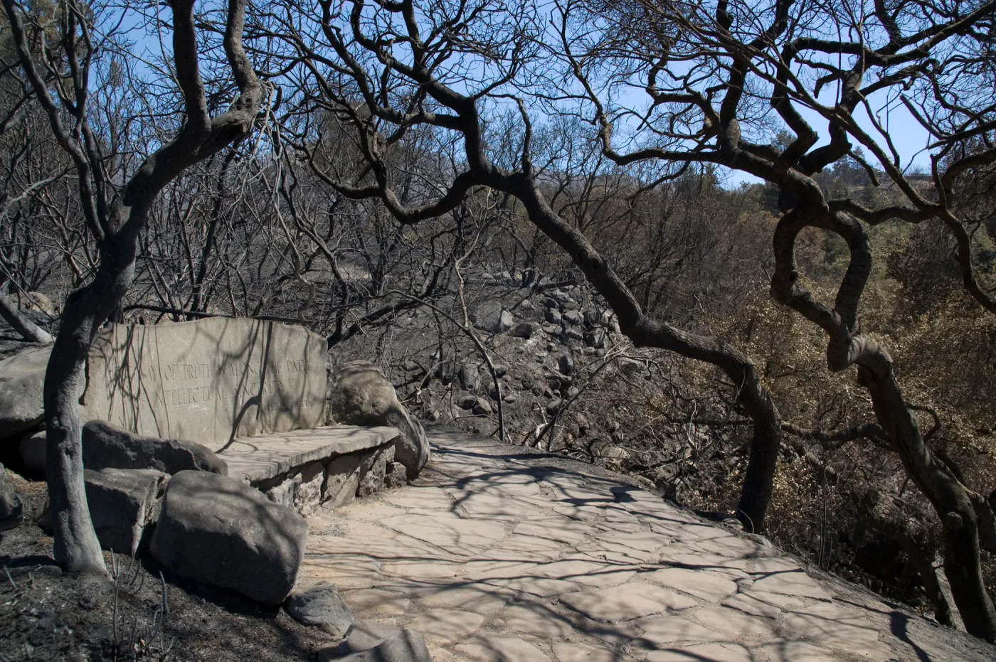 stone bench, Pritchett Bench, Pritchett Trail after the Jesusita Fire