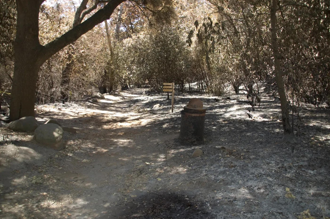 Canyon Trail at Campbell Bridge after the Jesusita Fire