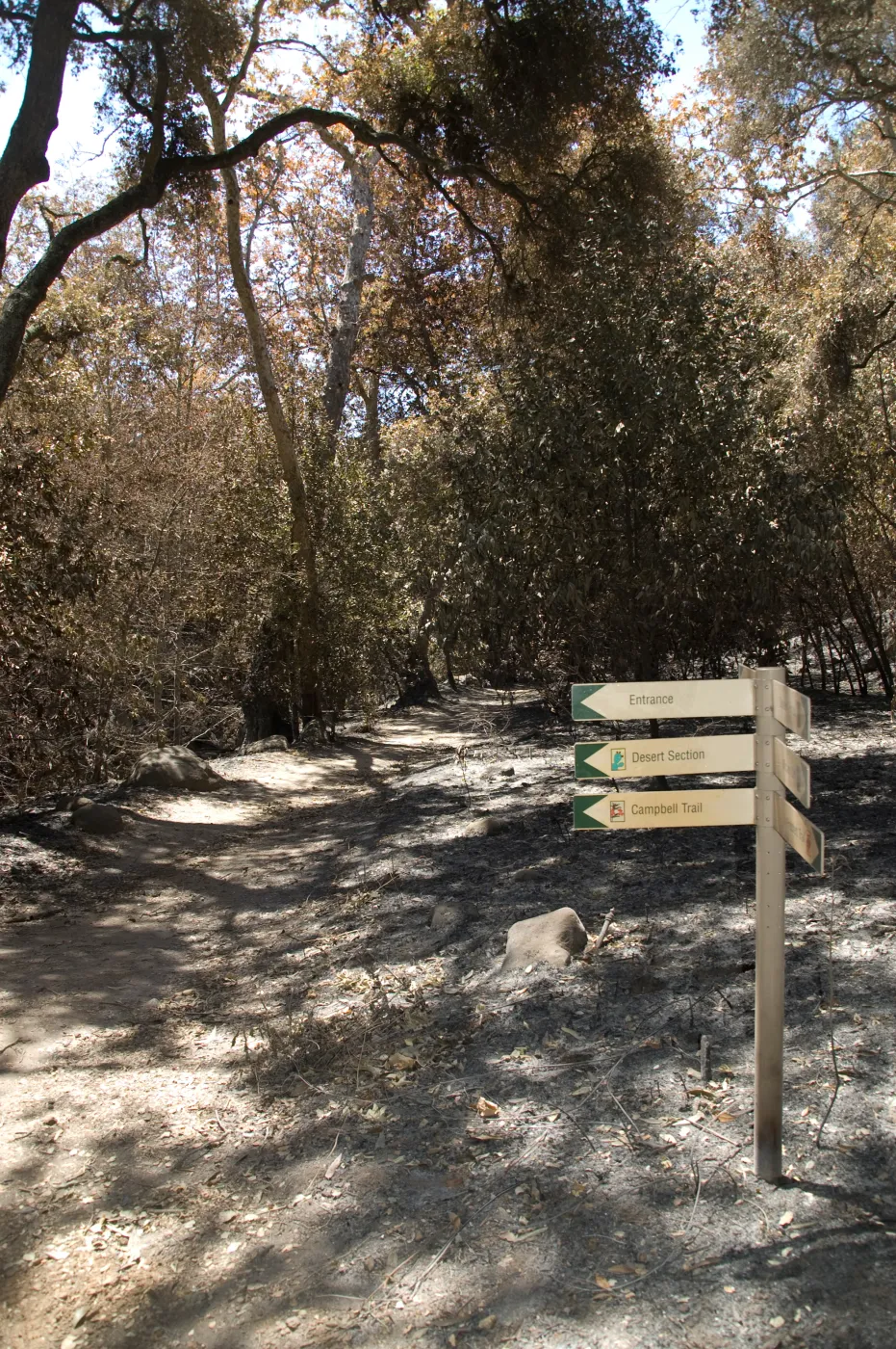 Directional signage on Canyon Trail after the Jesusita Fire