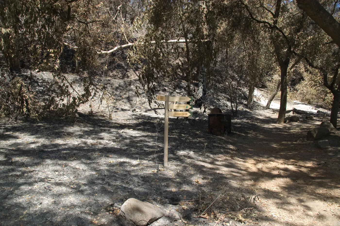 Directional sign on Canyon Trail after the Jesusita Fire
