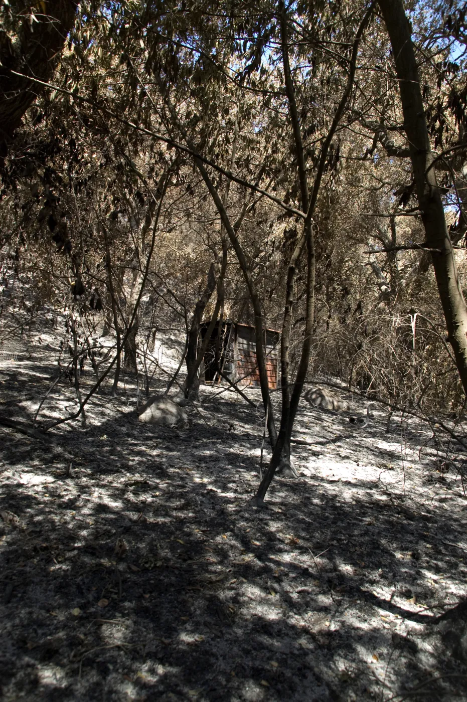 burned metal shed in Mission Canyon after the Jesusita Fire