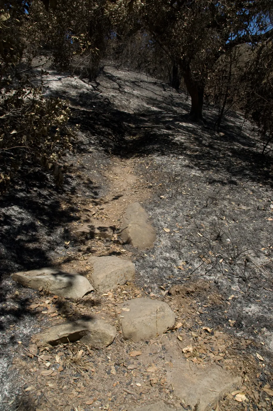 Island Section after the Jesusita Fire