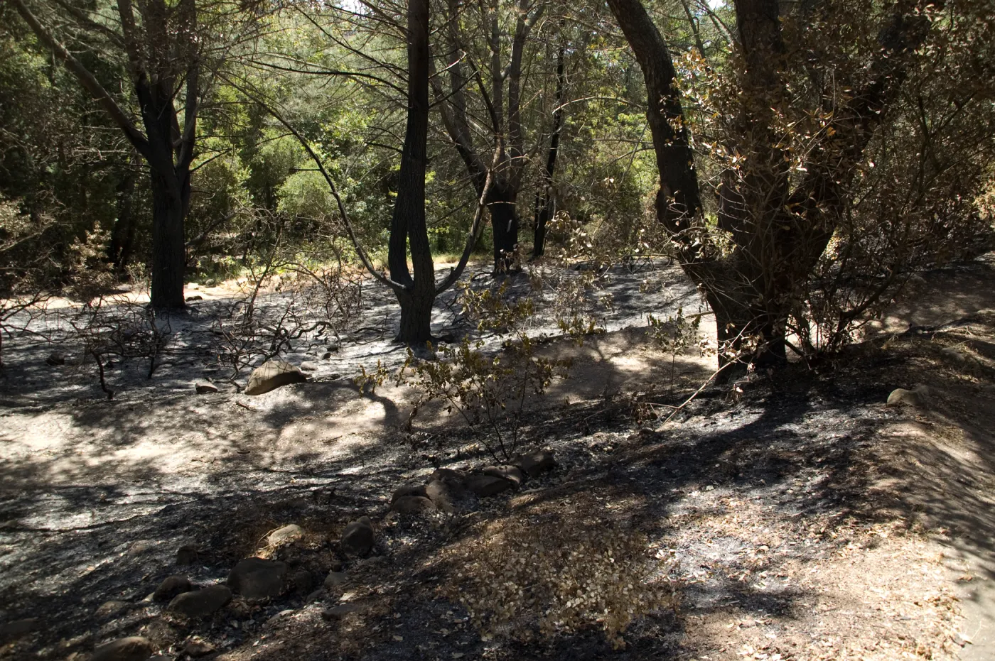 top of Island Section after the Jesusita Fire