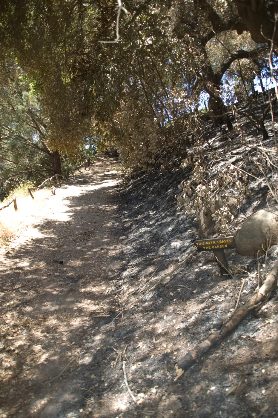 path exiting the Garden from the Island Section after the Jesusita Fire