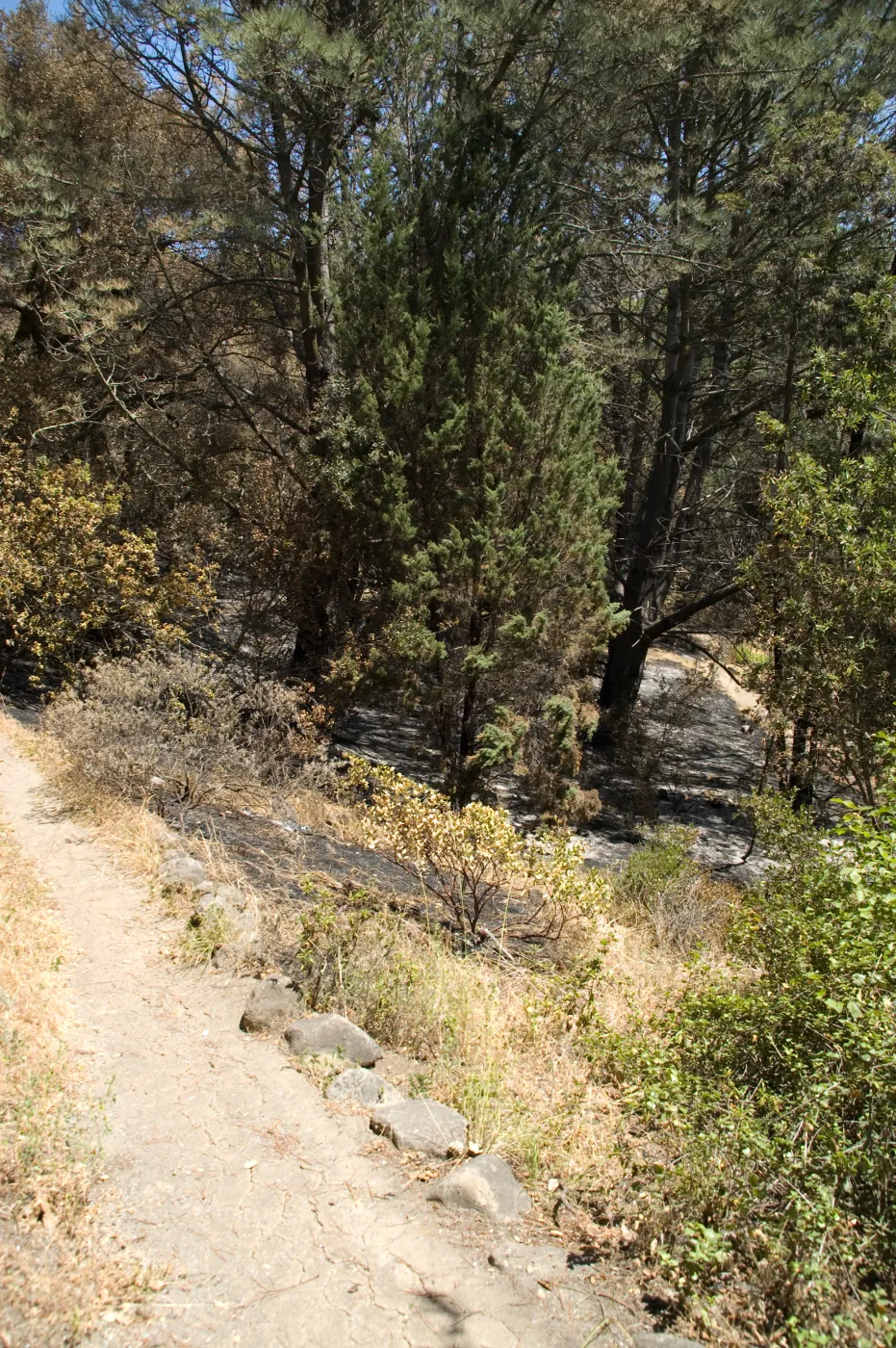 Easton Aqueduct Trail, just south of the Island Section after the Jesusita Fire