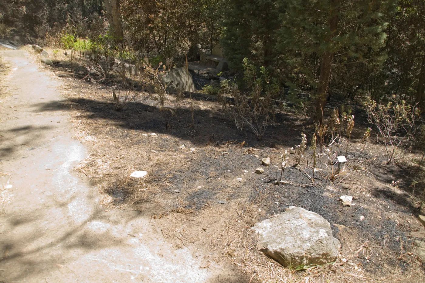 stone bench in Island Section after the Jesusita Fire