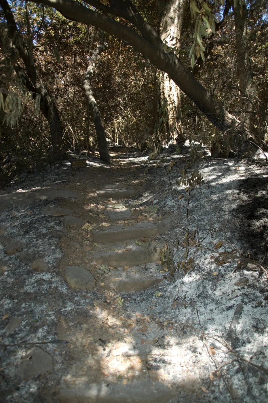 ash and stone steps on Creek Trail after the Jesusita Fire