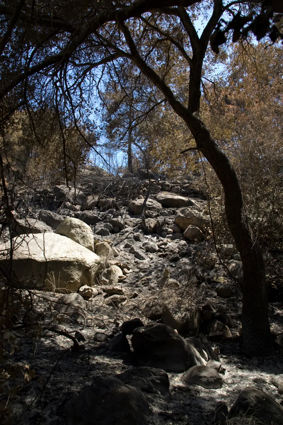 burned canyon slope after the Jesusita Fire