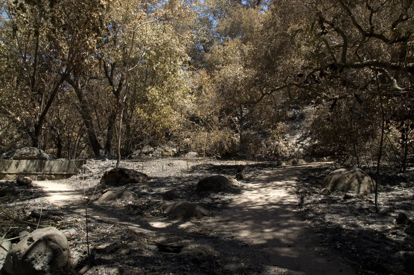 Campbell Bench, stone bench on Campbell Trail after the Jesusita Fire