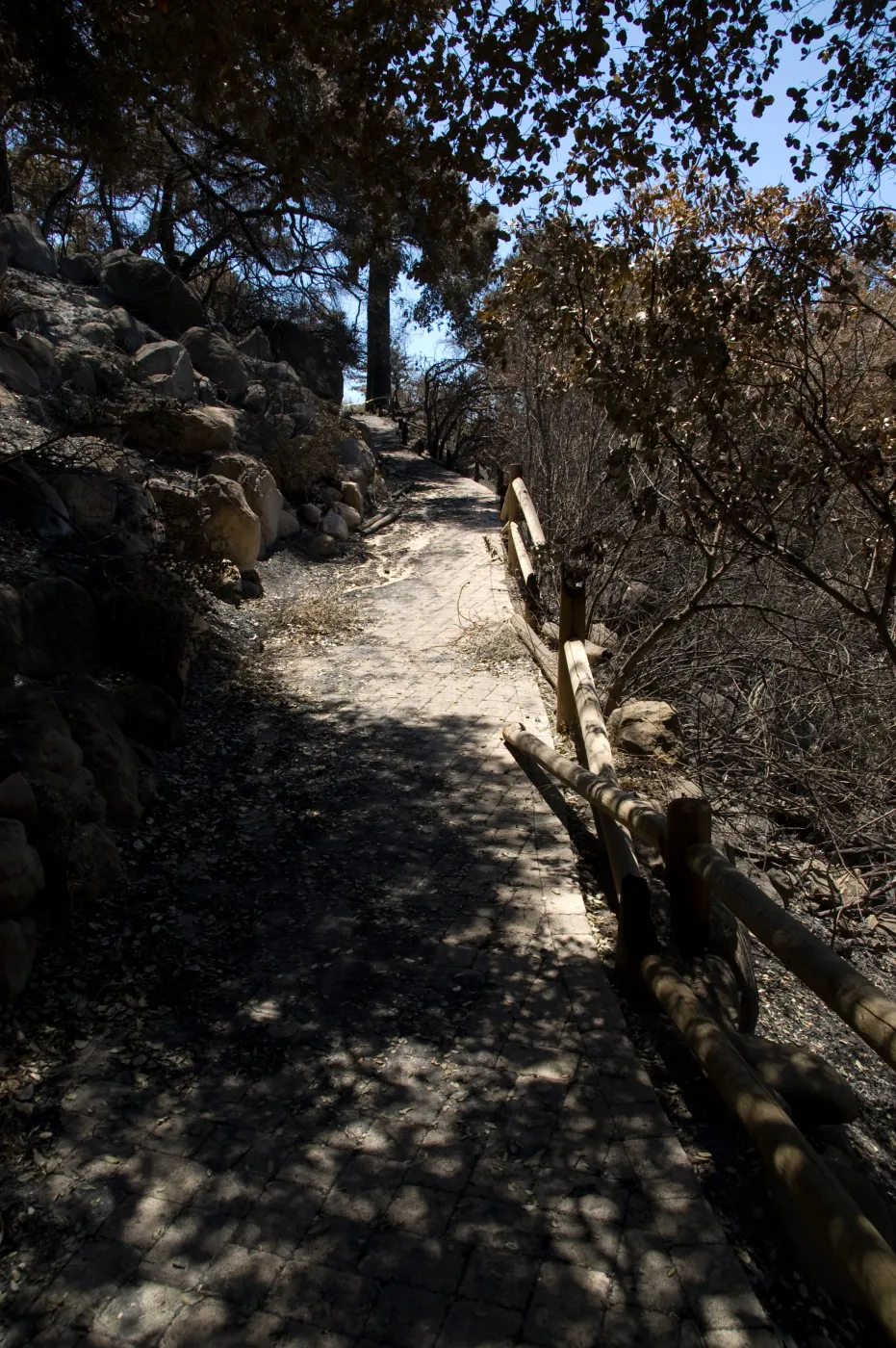 burned railing along Campbell Trail after the Jesusita Fire