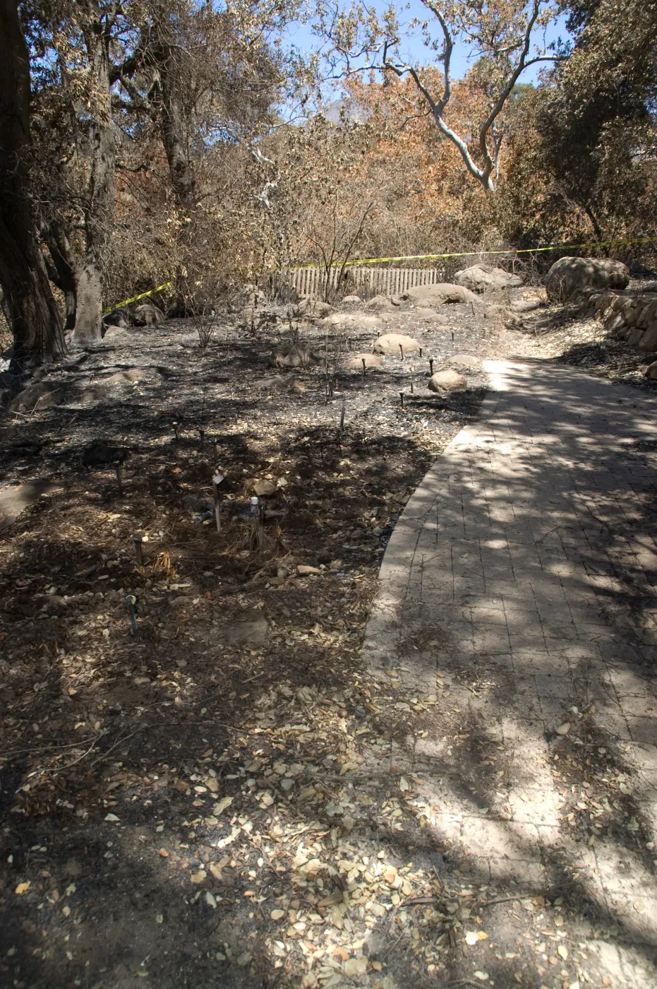 Picnic Area after the Jesusita Fire