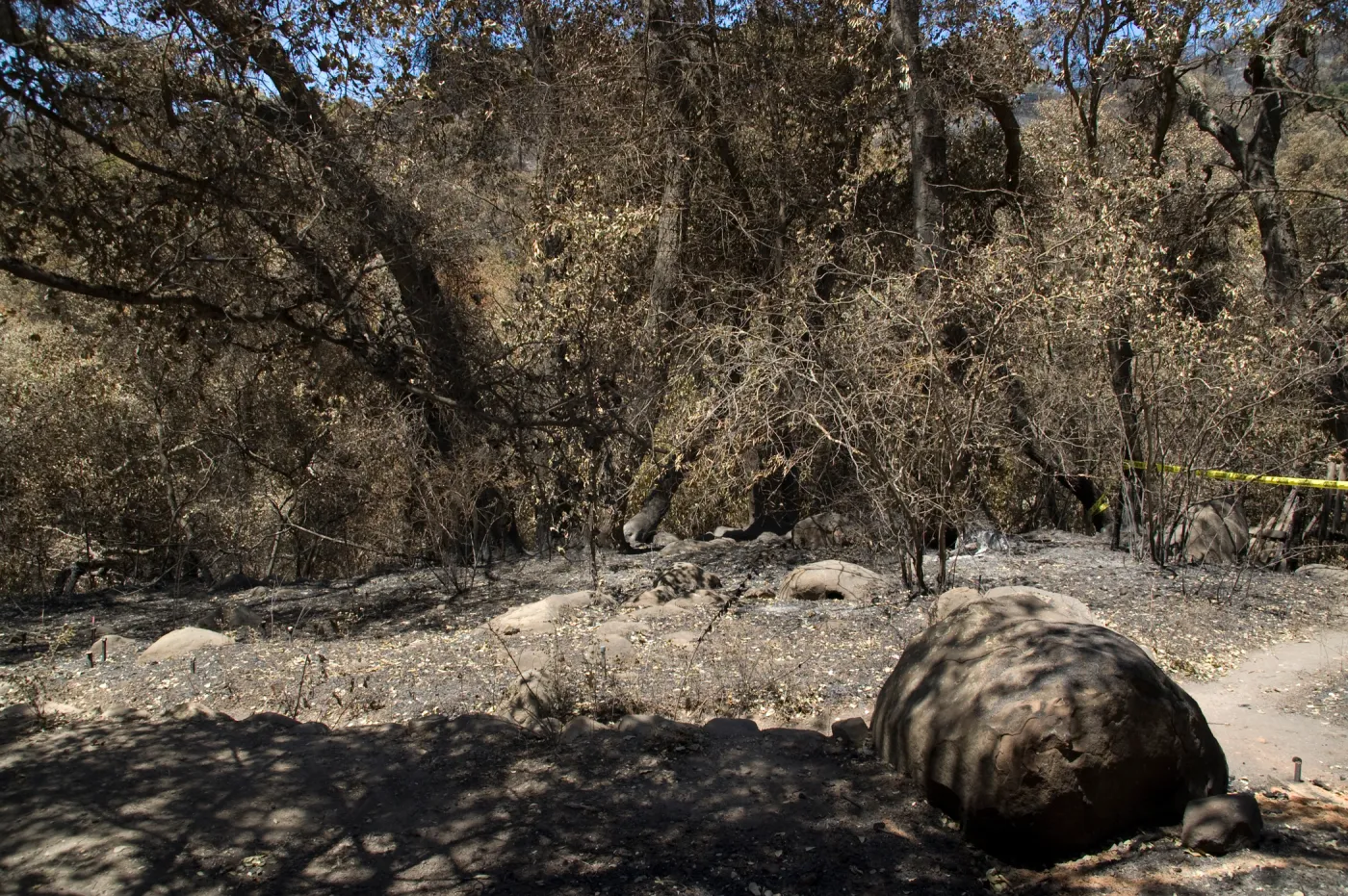 burned canyon slope below Picnic Area after the Jesusita Fire