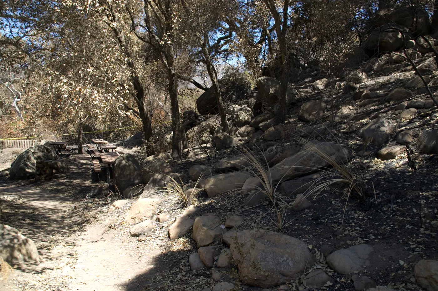 Picnic Area after the Jesusita Fire