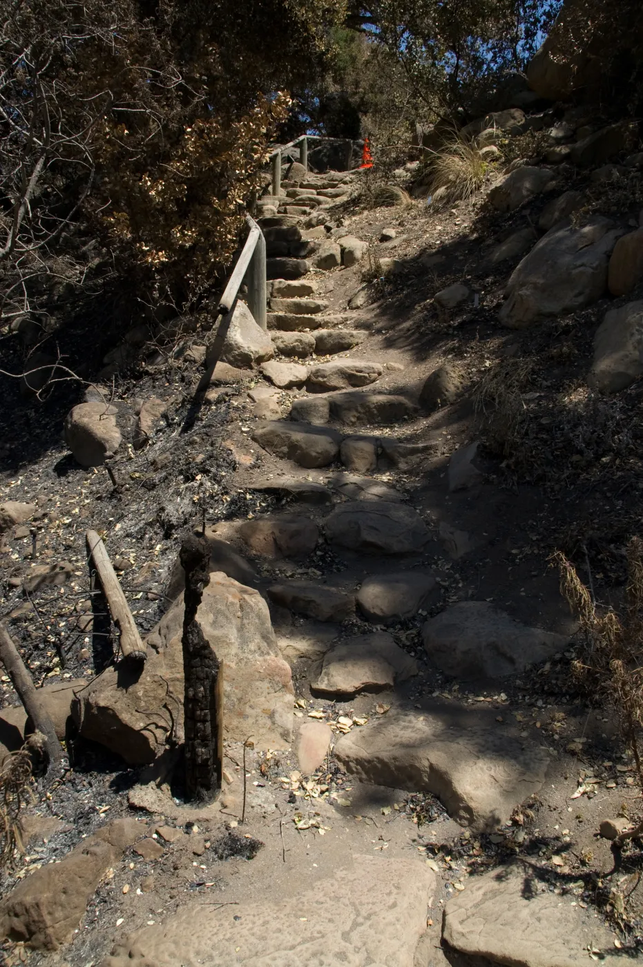 Campbell Trail staircase after the Jesusita Fire