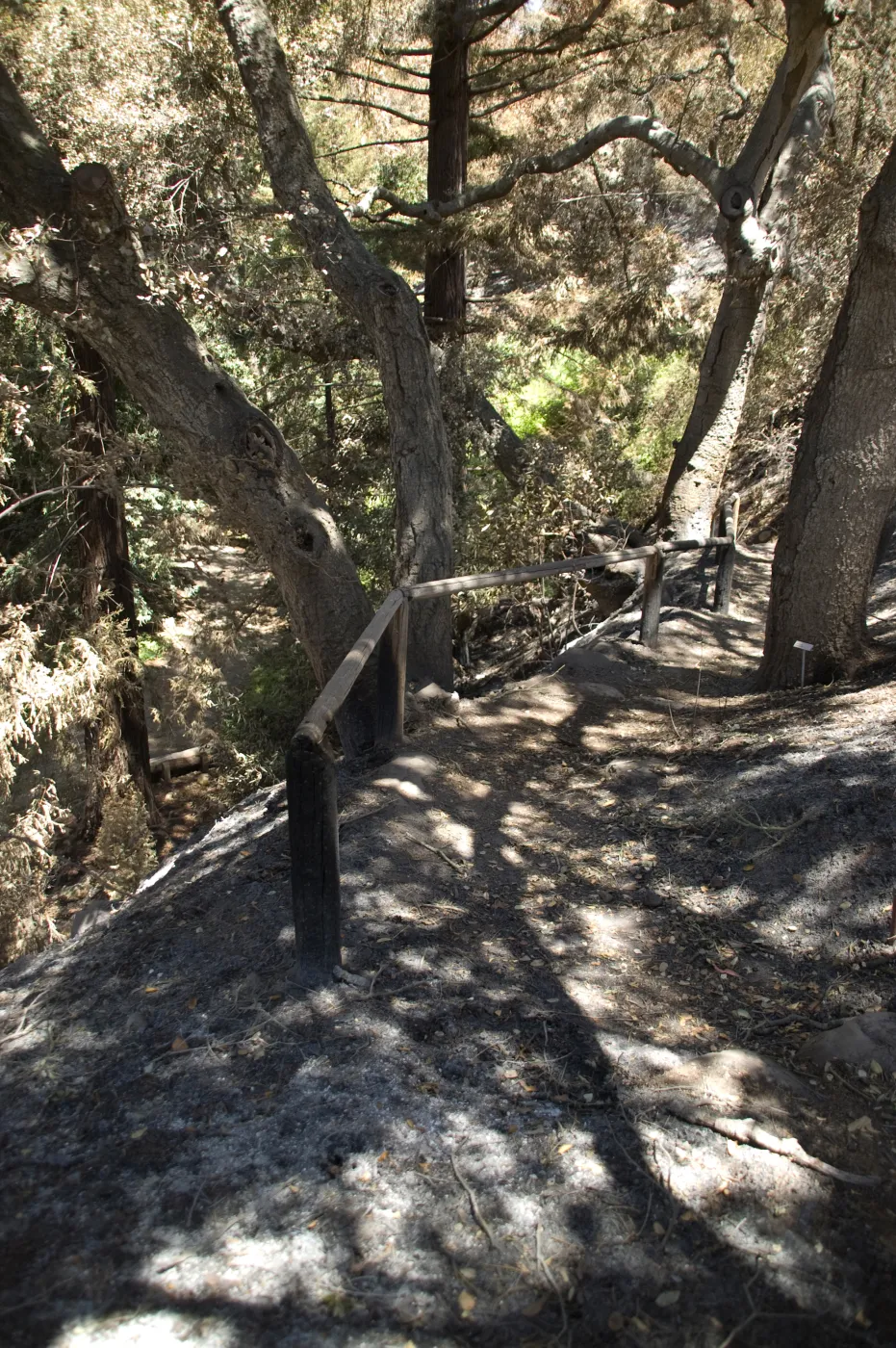 top of Indian Steps after the Jesusita Fire