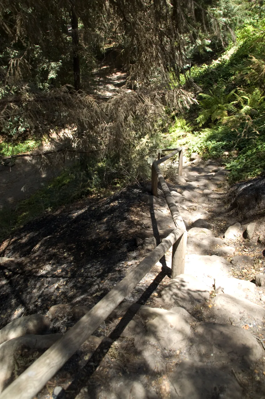 Indian Steps after the Jesusita Fire