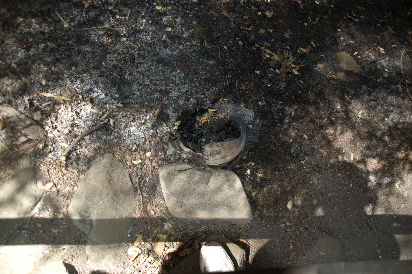 ash after the Jesusita Fire