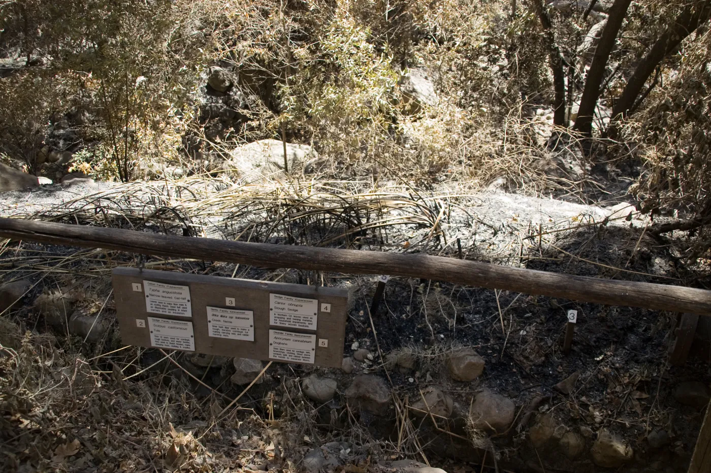 Fiber Arts Display with burned signage after the Jesusita Fire