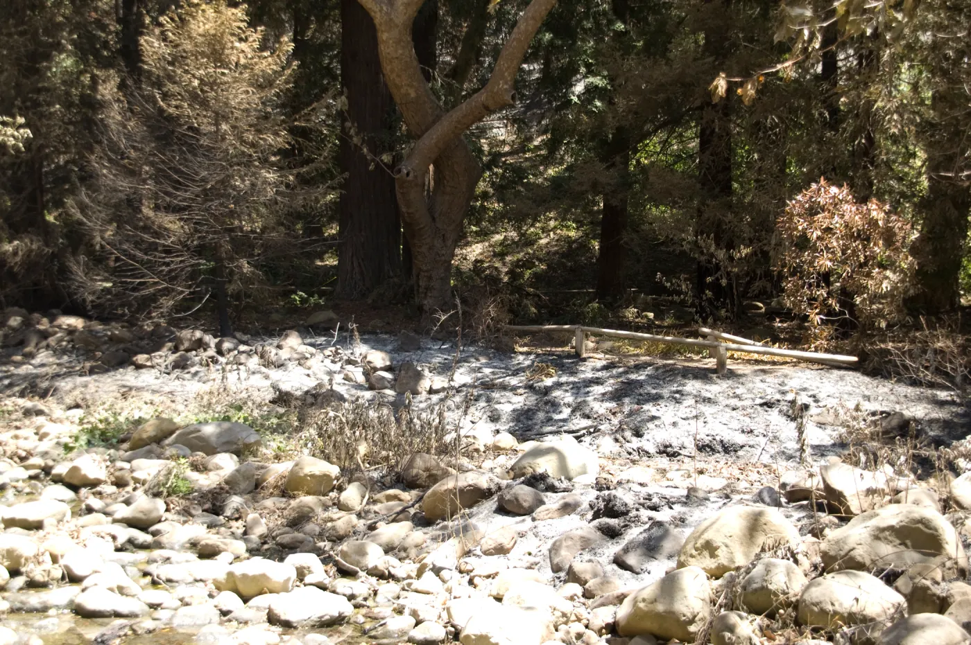Mission Creek above Mission dam after the Jesusita Fire