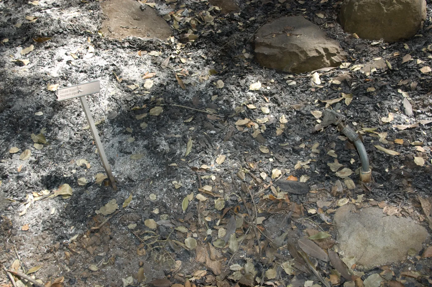 ash and melted plant markers after the Jesusita Fire