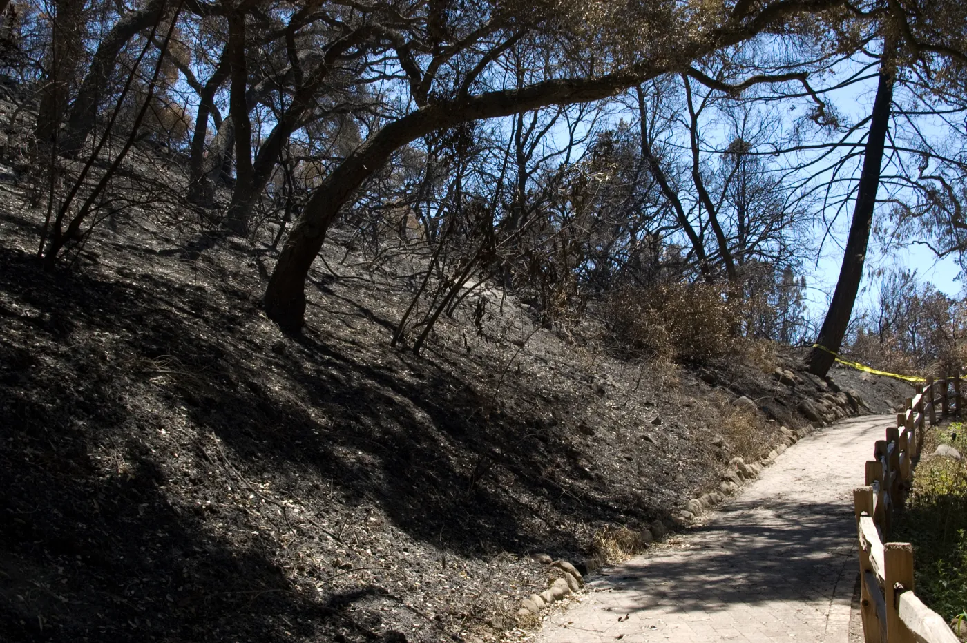 Pavered path from Redwoods to Meadow Section after the Jesusita Fire