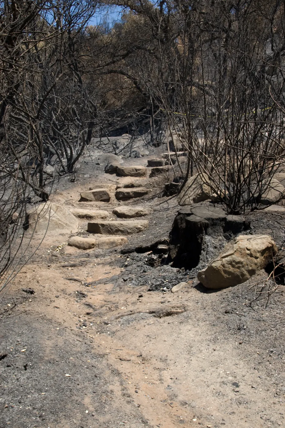 stone steps on Woodland Trail after the Jesusita Fire