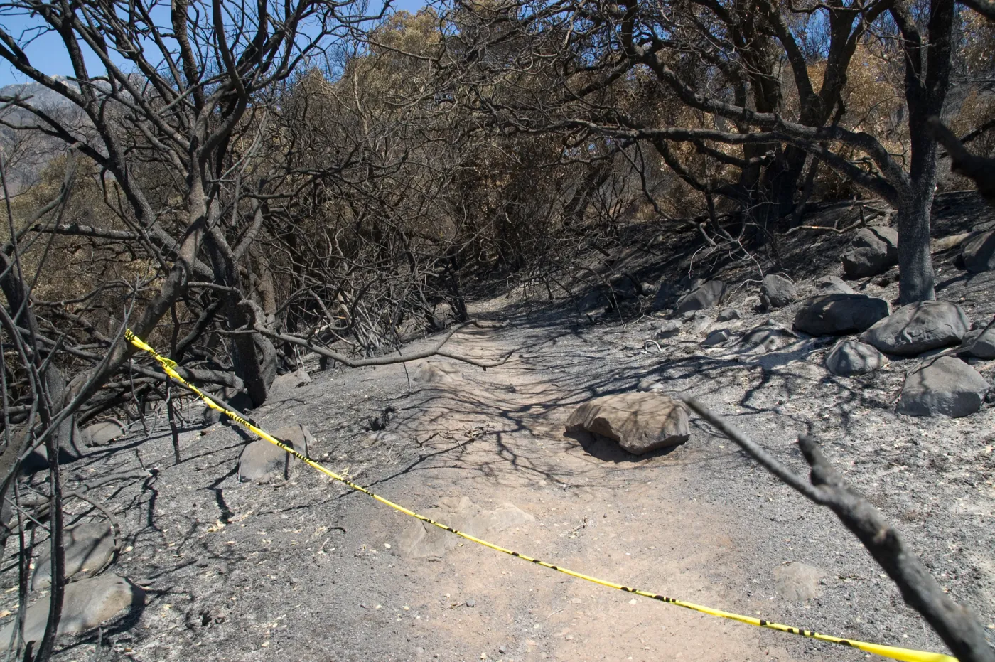 Woodland Trail adjacent to Mission Canyon Road after the Jesusita Fire