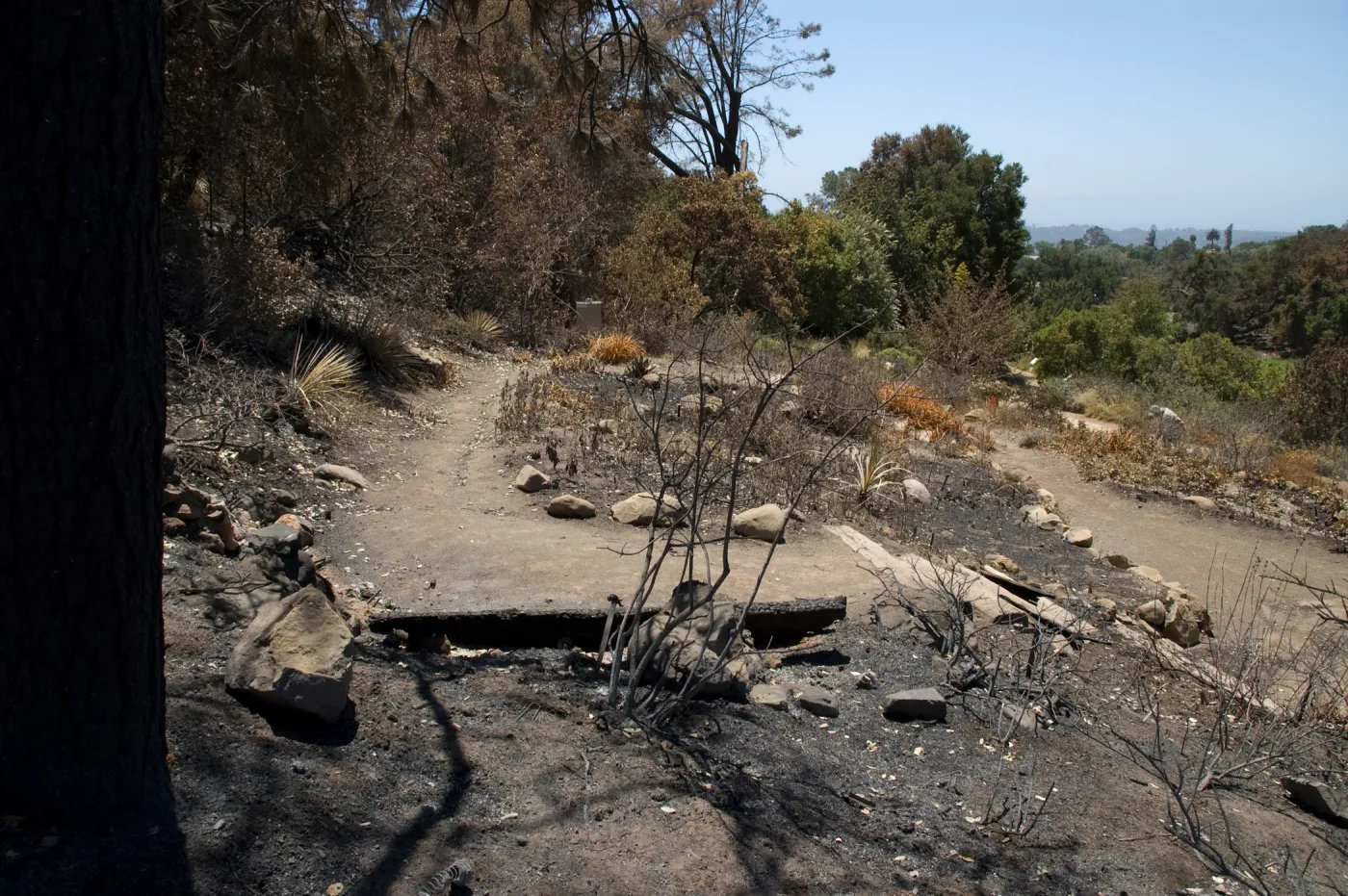 Meadow View section after the Jesusita Fire