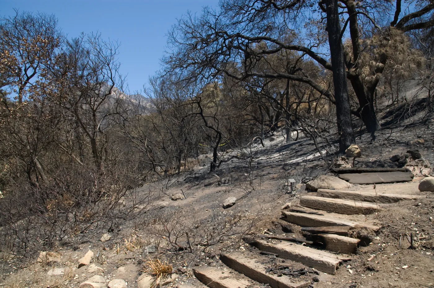 Wood steps above the Meadow View after the Jesusita Fire