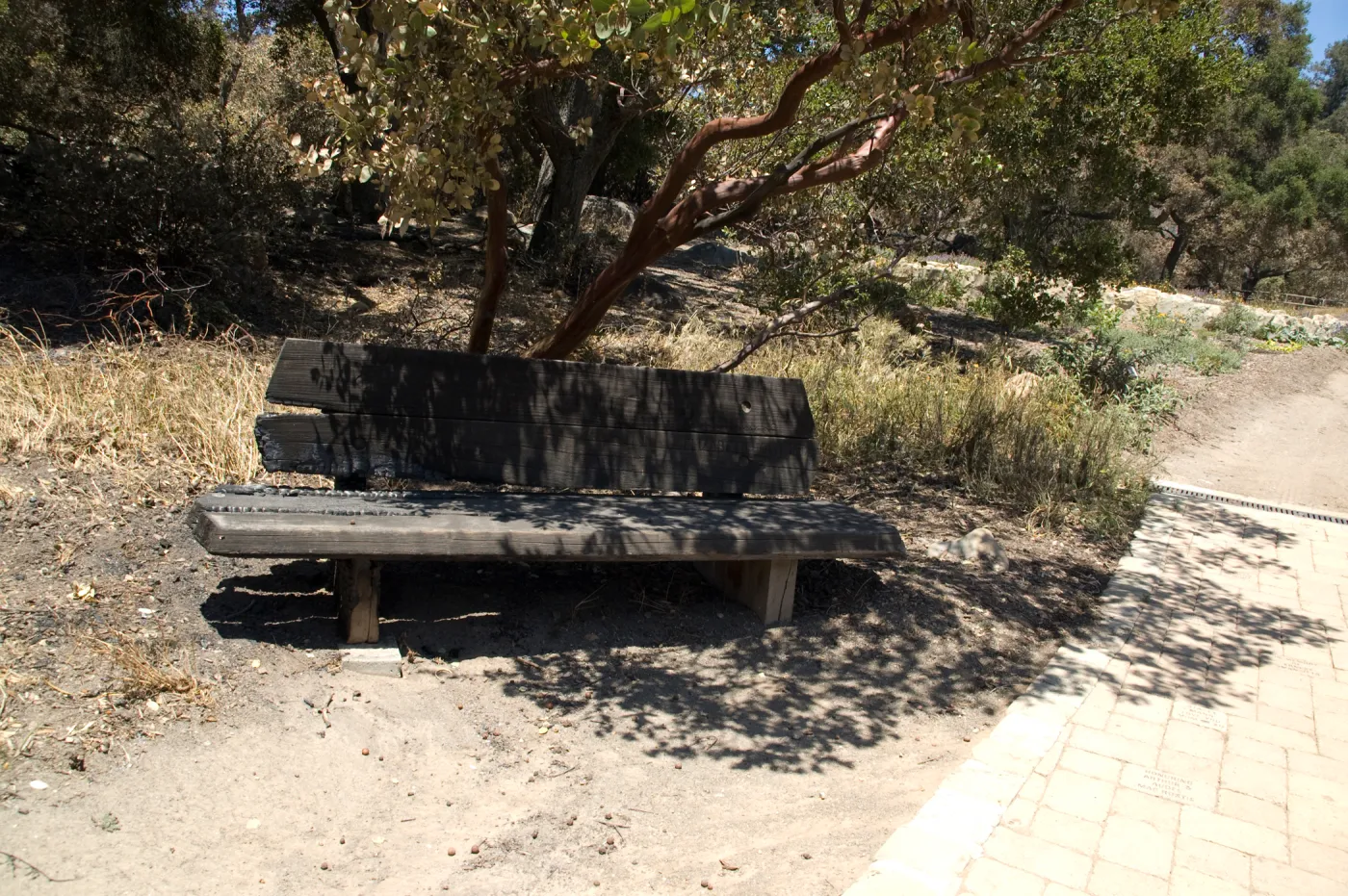 burned wood bench after the Jesusita Fire
