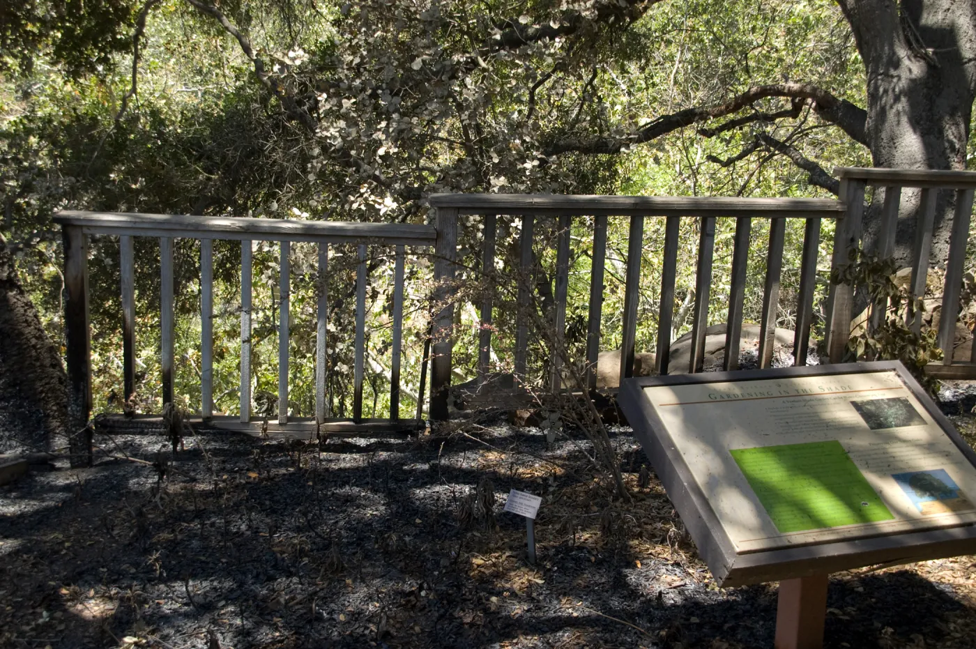 'Gardening in the Shade', burned railing along the canyon rim, adjacent to the cottage, after the Jesusita Fire