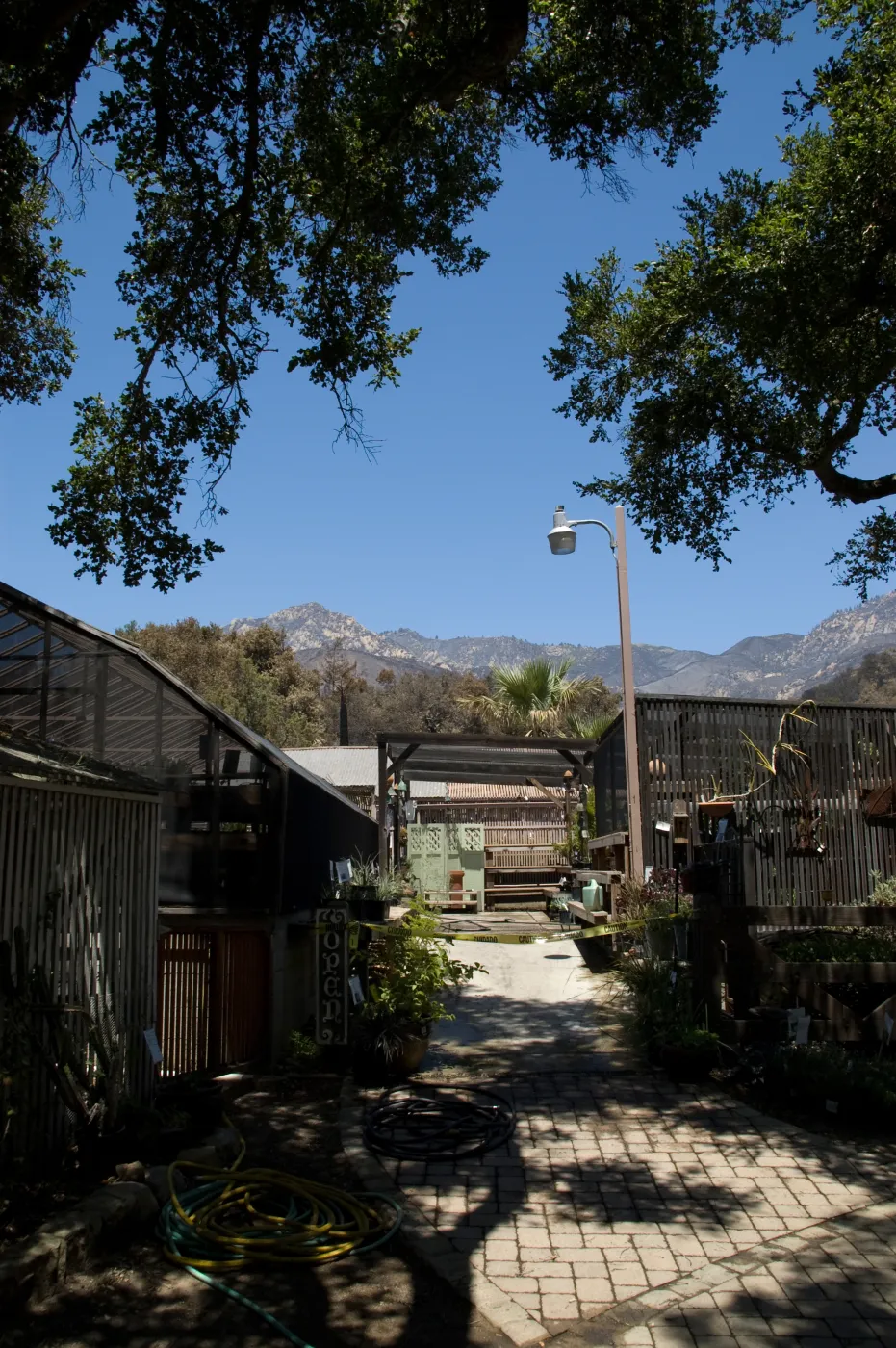 Growers Nursery, with burned oak canopy behind, after the Jesusita Fire