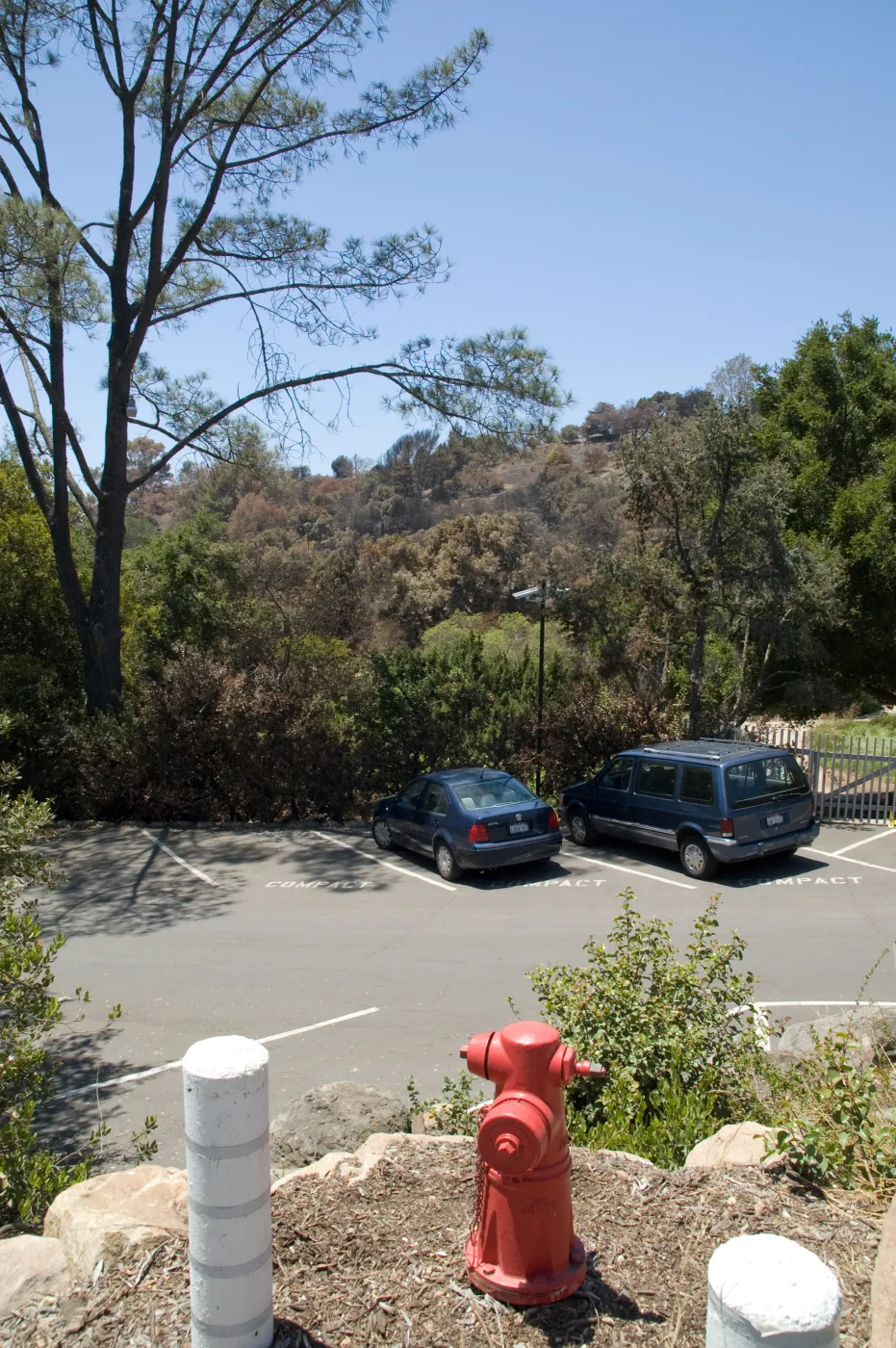 View of the parking lot from Mission Canyon Rd after the Jesusita Fire