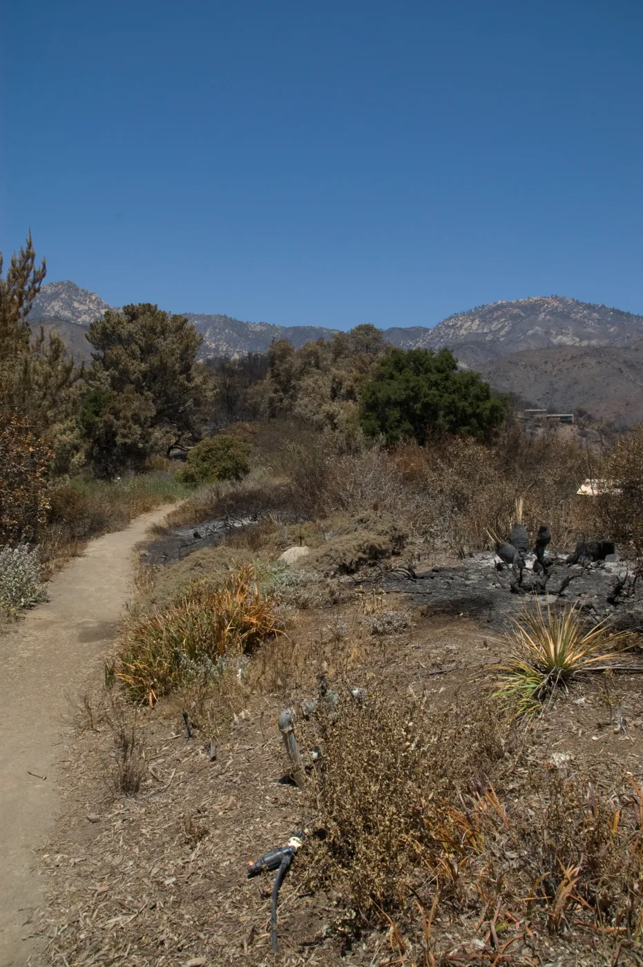 Porter Trail after the Jesusita Fire
