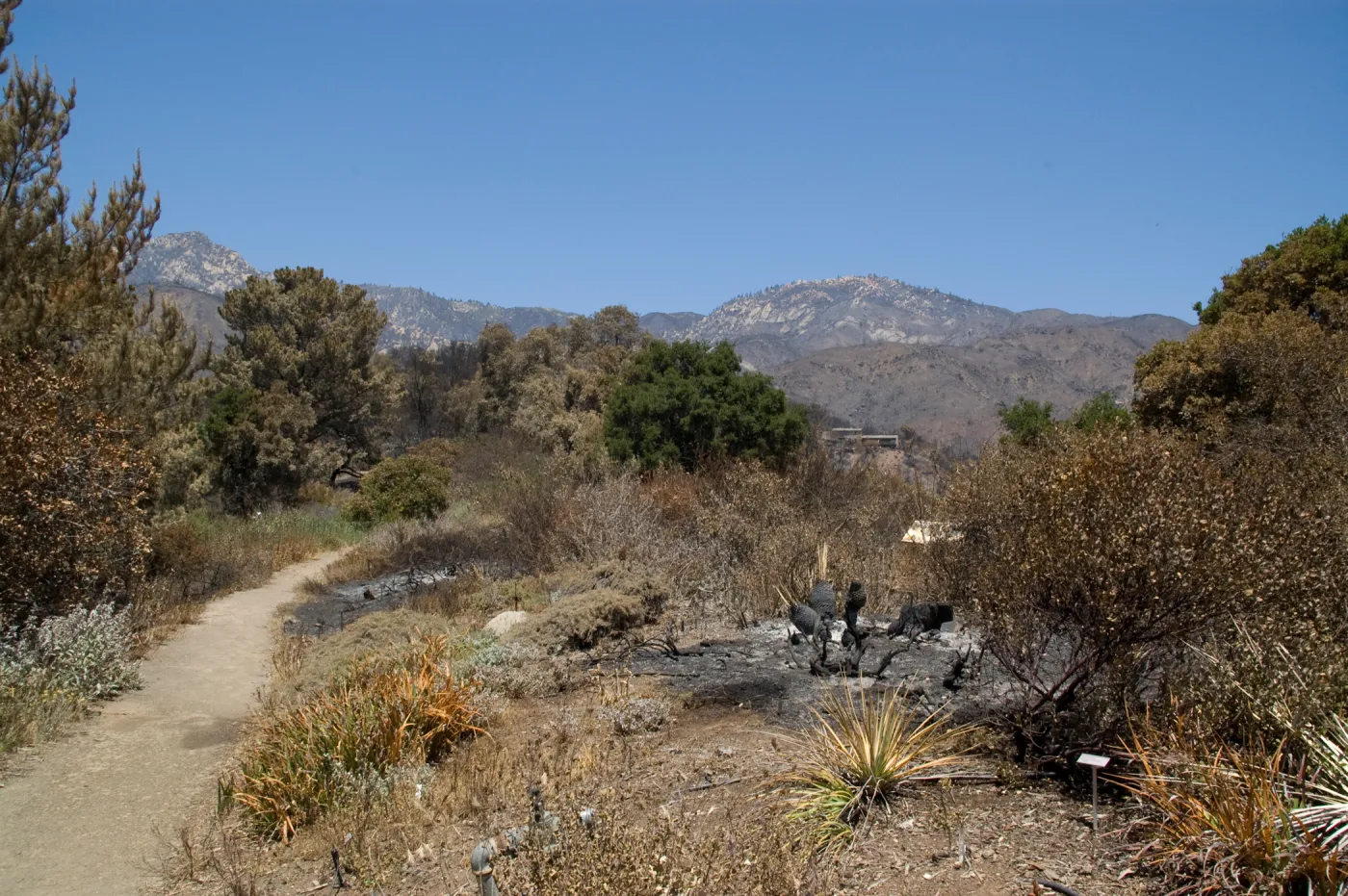 Porter Trail after the Jesusita Fire