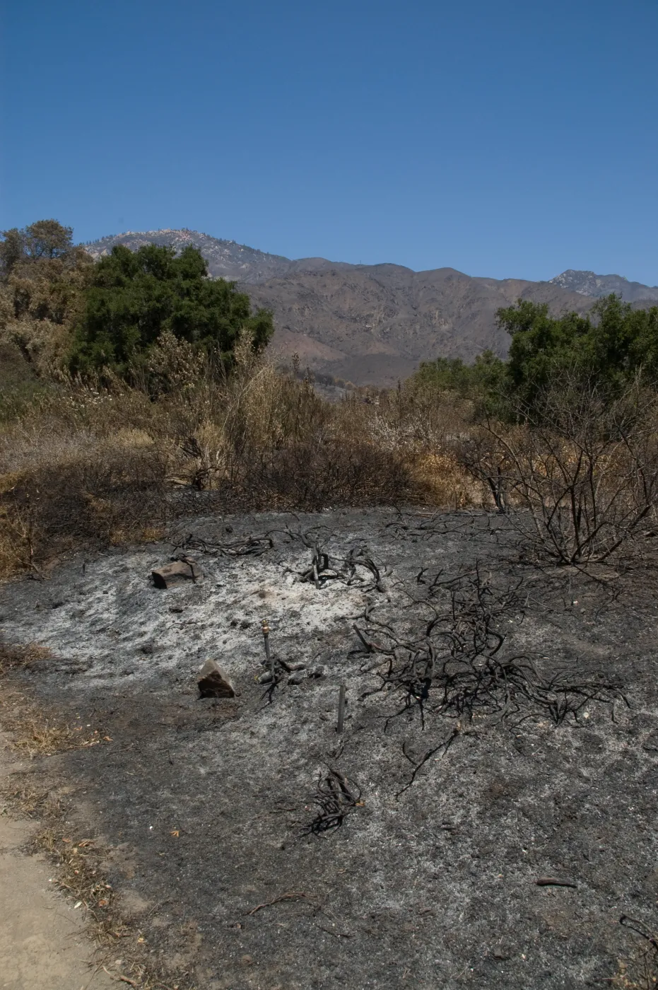 Porter Trail after the Jesusita Fire