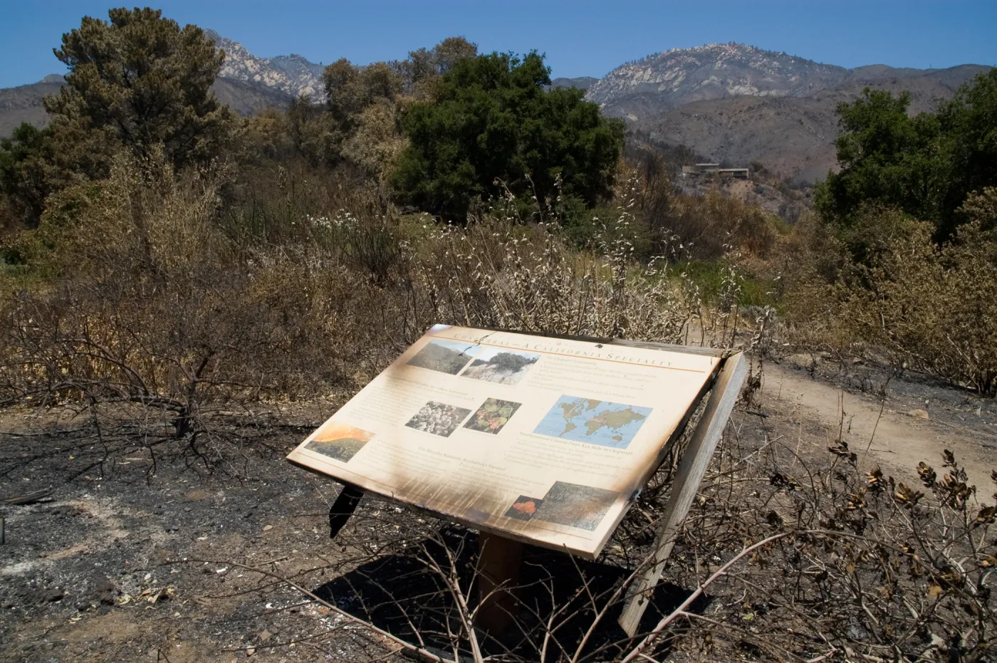 burned Chaparral sign after the Jesusita Fire