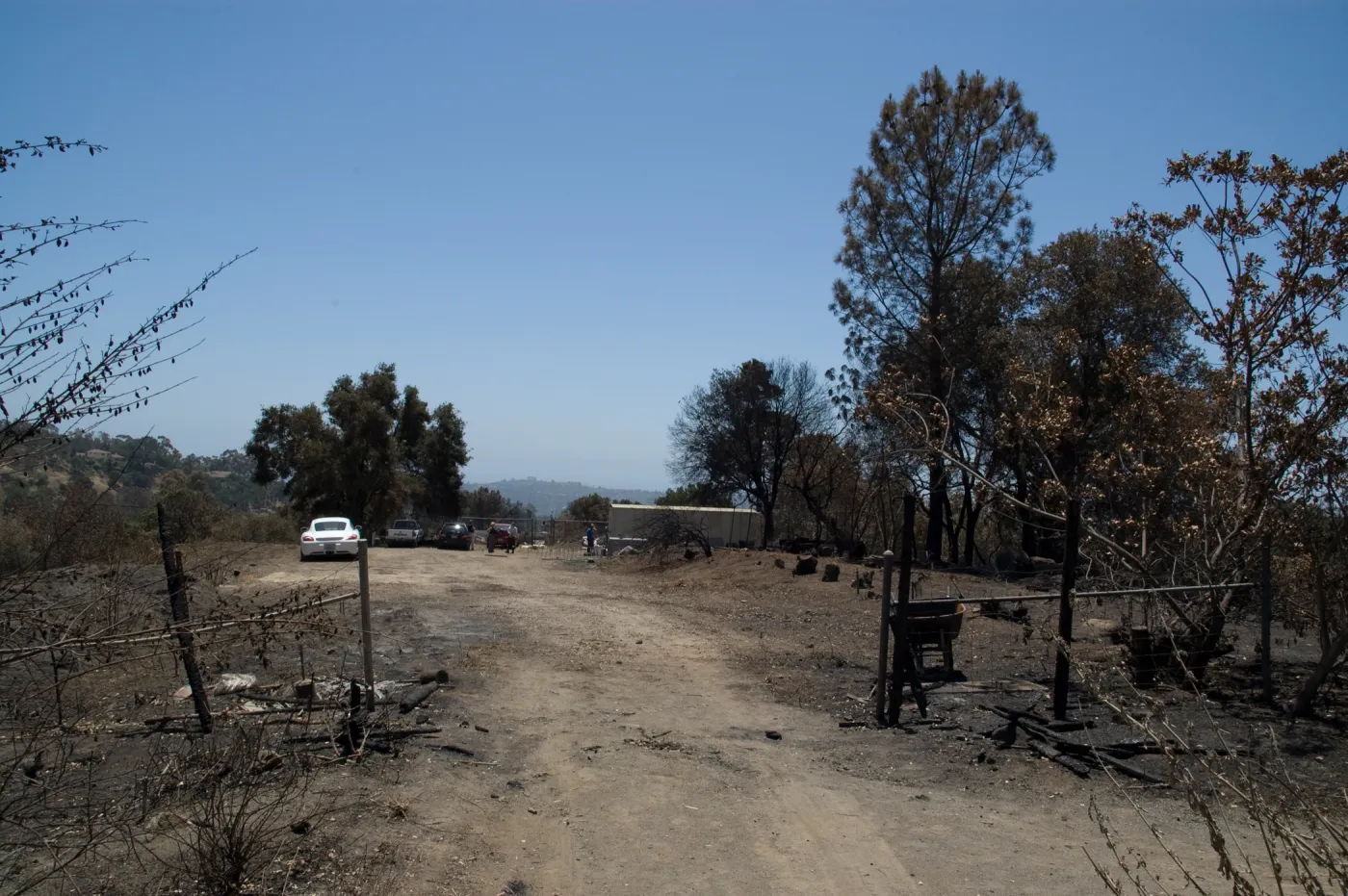 chip pile area, adjacent to Porter Trail, after the Jesusita Fire