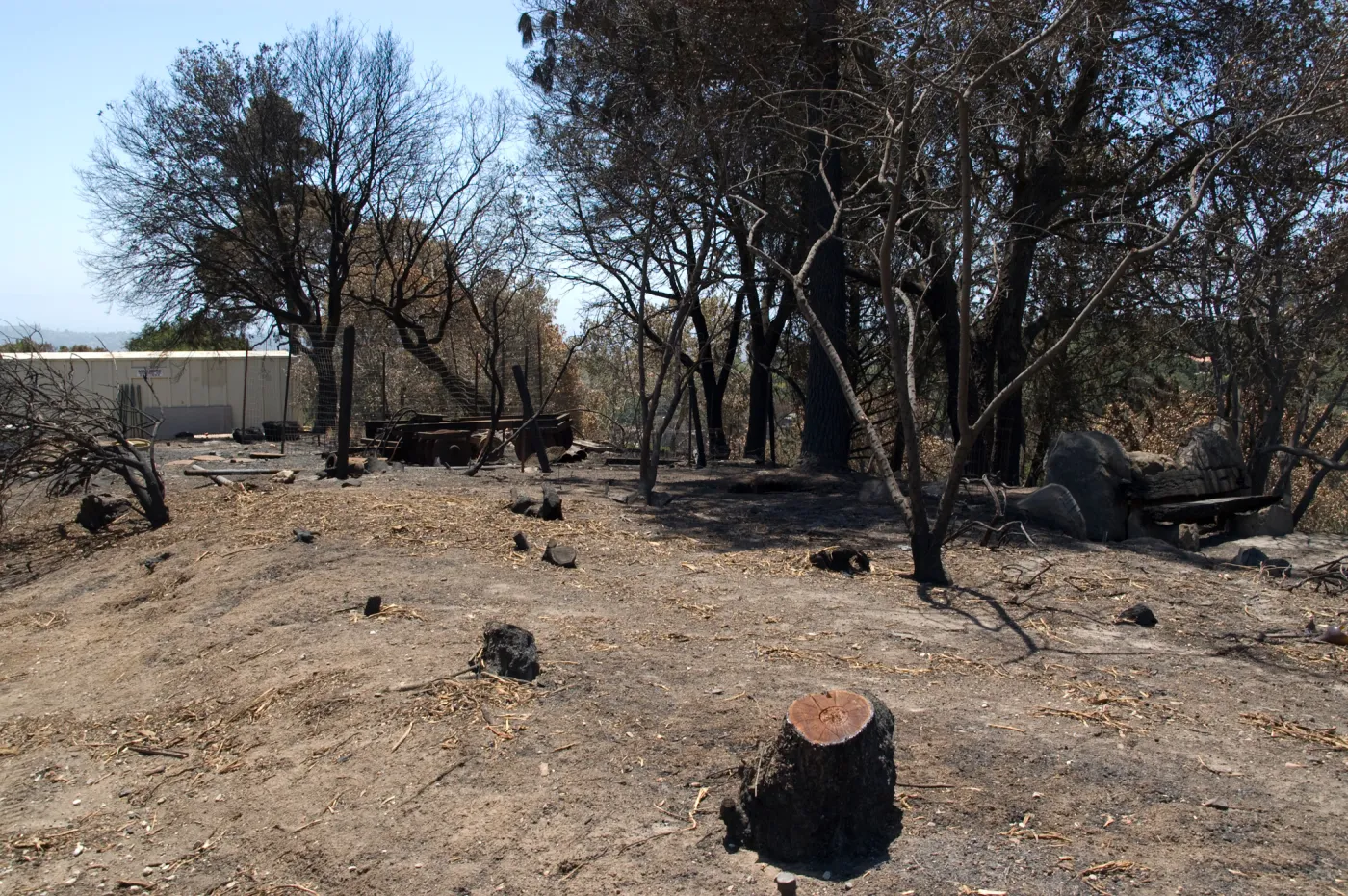 top of East Slope, adjacent to Chip Pile area and Porter Trail, after the Jesusita Fire